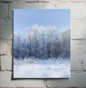 Πίνακας, Winter Wonderland Χειμερινή χώρα των θαυμάτων