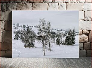 Πίνακας, Winter Wonderland Χειμερινή χώρα των θαυμάτων