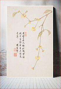 Πίνακας, Wintersweet Blossom from a Flower Album of Ten Leaves (1656) by Xiang Shengmo