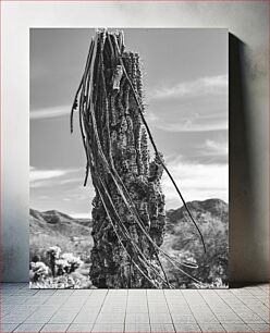 Πίνακας, Withered Cactus in Desert Μαραμένος κάκτος στην έρημο