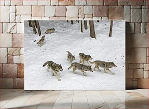 Πίνακας, Wolves in the Snow Λύκοι στο χιόνι