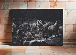 Πίνακας, Wolves in the Wild Λύκοι στην άγρια ​​φύση