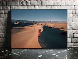 Πίνακας, Woman Exploring Vast Desert Γυναίκα που εξερευνά την τεράστια έρημο