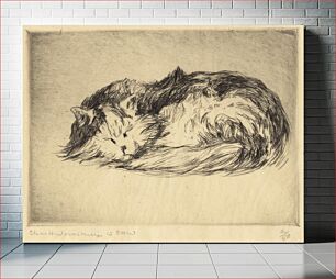 Πίνακας, Woodbury Cat