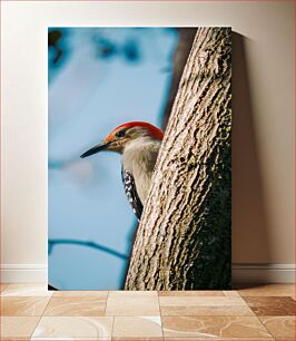 Πίνακας, Woodpecker on Tree Δρυοκολάπτης στο δέντρο