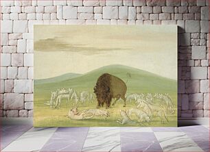 Πίνακας, Wounded Buffalo Bull Surrounded by White Wolves by George Catlin