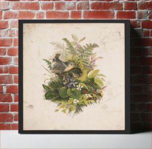 Πίνακας, Wren's nest and ferns / after Mrs. O.E. Whitney