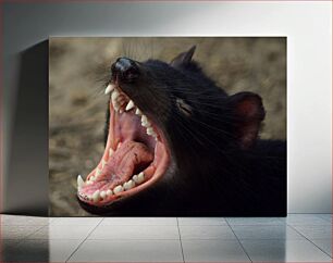 Πίνακας, Yawning Animal Close-up Κοντινό πλάνο με ζώο χασμουρητό