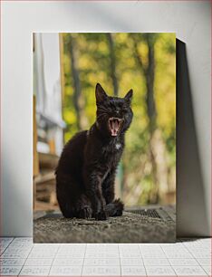 Πίνακας, Yawning Black Cat Χασμουρητό Μαύρη Γάτα