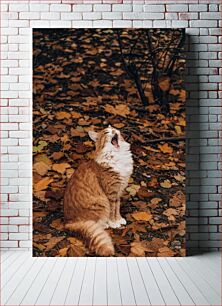 Πίνακας, Yawning Cat in Autumn Leaves Χασμουρητό Γάτα σε Φθινοπωρινά Φύλλα