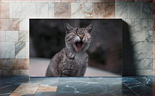 Πίνακας, Yawning Cat Χασμουρητό Γάτα