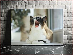 Πίνακας, Yawning Cat Χασμουρητό Γάτα