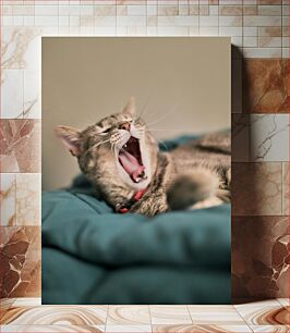 Πίνακας, Yawning Cat Χασμουρητό Γάτα
