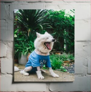 Πίνακας, Yawning Dog in Blue Shirt Χασμουρητό σκυλί με μπλε πουκάμισο