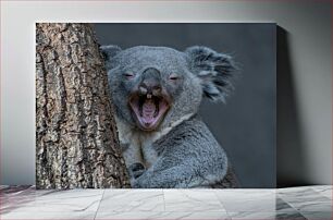 Πίνακας, Yawning Koala Χασμουρητό κοάλα