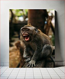 Πίνακας, Yawning Monkey Χασμουρητό Πίθηκος