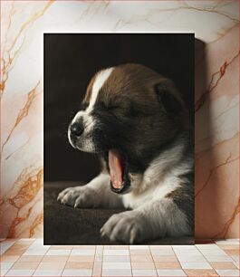 Πίνακας, Yawning Puppy Χασμουρητό κουτάβι