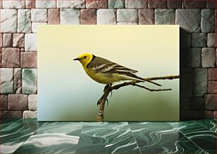 Πίνακας, Yellow and Brown Bird on Branch Κίτρινο και καφέ πουλί στο κλαδί