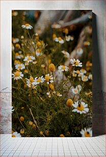 Πίνακας, Yellow and White Flowers in Bloom Κίτρινα και άσπρα λουλούδια σε άνθιση