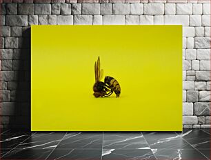 Πίνακας, Yellow Background Dead Wasp Κίτρινο φόντο νεκρή σφήκα