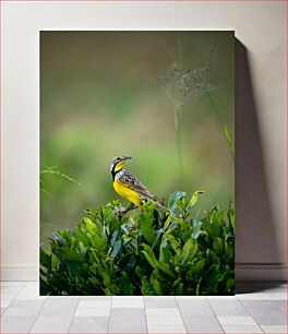 Πίνακας, Yellow Bird in Greenery Κίτρινο πουλί στο πράσινο