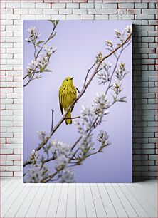 Πίνακας, Yellow Bird on a Blossoming Branch Κίτρινο πουλί σε ένα ανθισμένο κλαδί