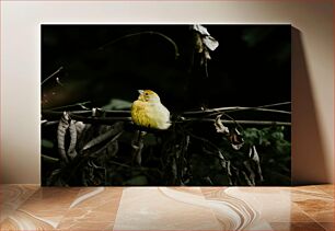 Πίνακας, Yellow Bird on a Branch Κίτρινο πουλί σε ένα κλαδί