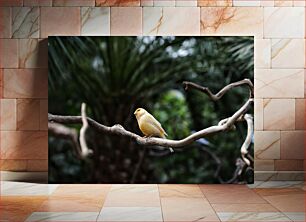 Πίνακας, Yellow Bird on Branch Κίτρινο πουλί στο κλαδί