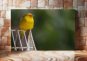 Πίνακας, Yellow Bird Perched Κίτρινο πουλί σκαρφαλωμένο