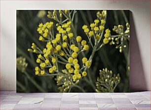 Πίνακας, Yellow Blooming Flowers Κίτρινα ανθισμένα λουλούδια