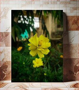 Πίνακας, Yellow Blossoms Κίτρινα Άνθη