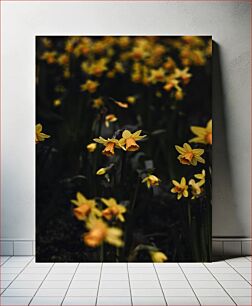 Πίνακας, Yellow Daffodils Κίτρινο Νάρκισσοι