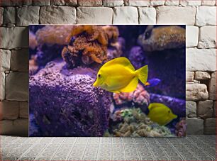 Πίνακας, Yellow Fish in a Coral Reef Κίτρινο ψάρι σε κοραλλιογενή ύφαλο