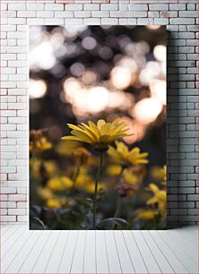 Πίνακας, Yellow Flower at Dusk Κίτρινο λουλούδι στο σούρουπο