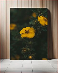 Πίνακας, Yellow Flower in Focus Κίτρινο λουλούδι στο επίκεντρο