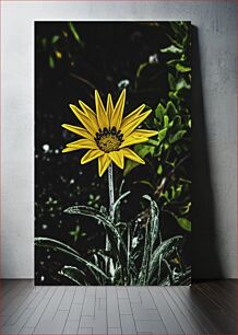 Πίνακας, Yellow Flower in Focus Κίτρινο λουλούδι στο επίκεντρο