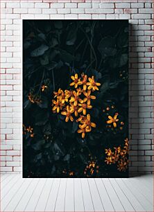 Πίνακας, Yellow Flowers against Dark Foliage Κίτρινα λουλούδια ενάντια στο σκούρο φύλλωμα