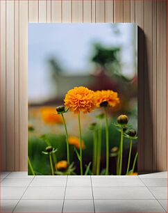 Πίνακας, Yellow Flowers in Bloom Κίτρινα λουλούδια στην άνθιση