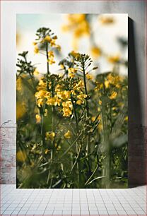 Πίνακας, Yellow Flowers in Bloom Κίτρινα λουλούδια στην άνθιση
