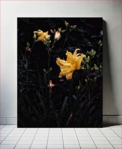 Πίνακας, Yellow Flowers in Low Light Κίτρινα λουλούδια σε χαμηλό φωτισμό
