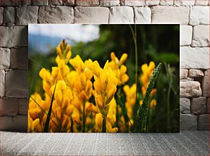 Πίνακας, Yellow Flowers in Nature Κίτρινα λουλούδια στη φύση