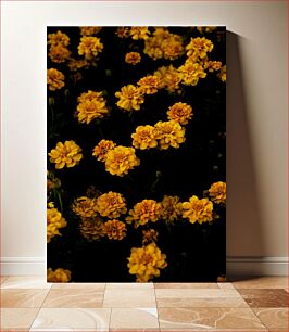 Πίνακας, Yellow Flowers on Black Background Κίτρινα λουλούδια σε μαύρο φόντο