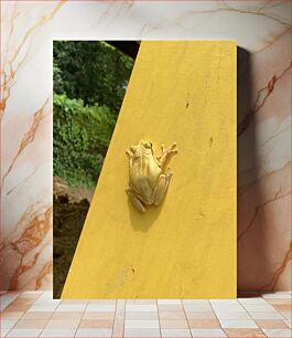 Πίνακας, Yellow Frog on a Yellow Surface Κίτρινος βάτραχος σε κίτρινη επιφάνεια