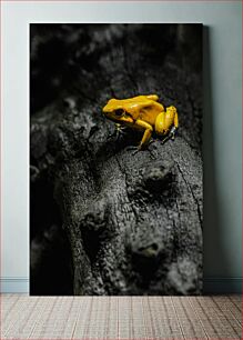 Πίνακας, Yellow Frog on Dark Surface Κίτρινος βάτραχος σε σκοτεινή επιφάνεια