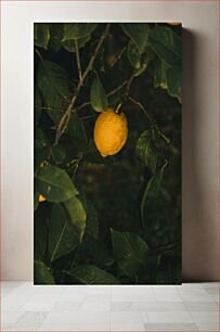 Πίνακας, Yellow Lemon on a Tree Κίτρινο λεμόνι σε ένα δέντρο
