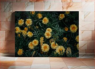 Πίνακας, Yellow Marigold Blossoms Κίτρινα άνθη κατιφέ