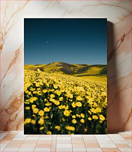 Πίνακας, Yellow Wildflower Field under Blue Sky Κίτρινο πεδίο αγριολούλουδων κάτω από το μπλε ουρανό