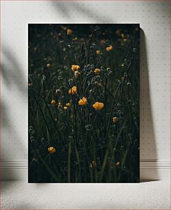 Πίνακας, Yellow Wildflowers in Dark Field Κίτρινα αγριολούλουδα στο σκοτεινό πεδίο
