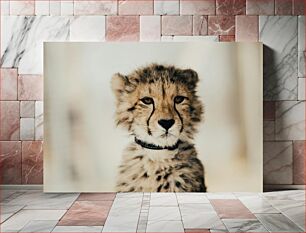 Πίνακας, Young Cheetah Portrait Πορτρέτο νεαρού τσιτάχ