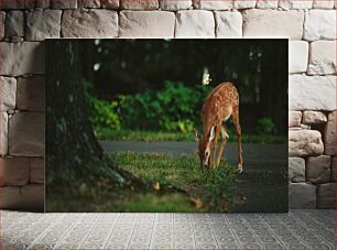 Πίνακας, Young Deer Grazing Νεαρά ελάφια που βόσκουν